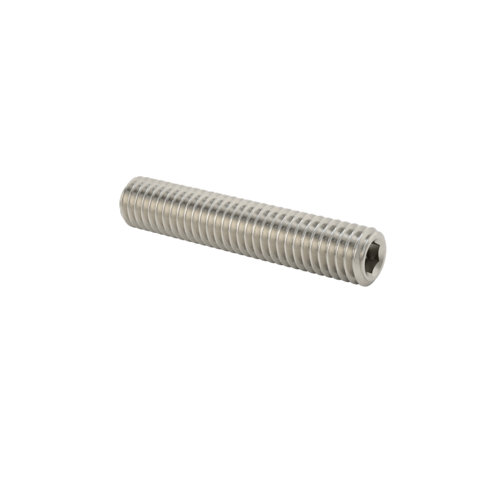 [900310] Set Screw M3 x 0.5 x 16mm (SUS)