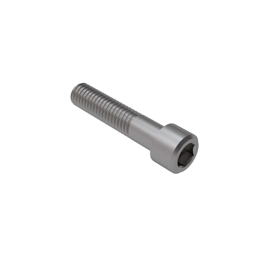 [900325] Socket Head Cap Screw M3x0.5x30mm (SUS)